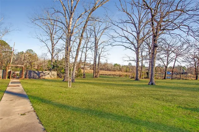 a big yard with lots of trees and plants