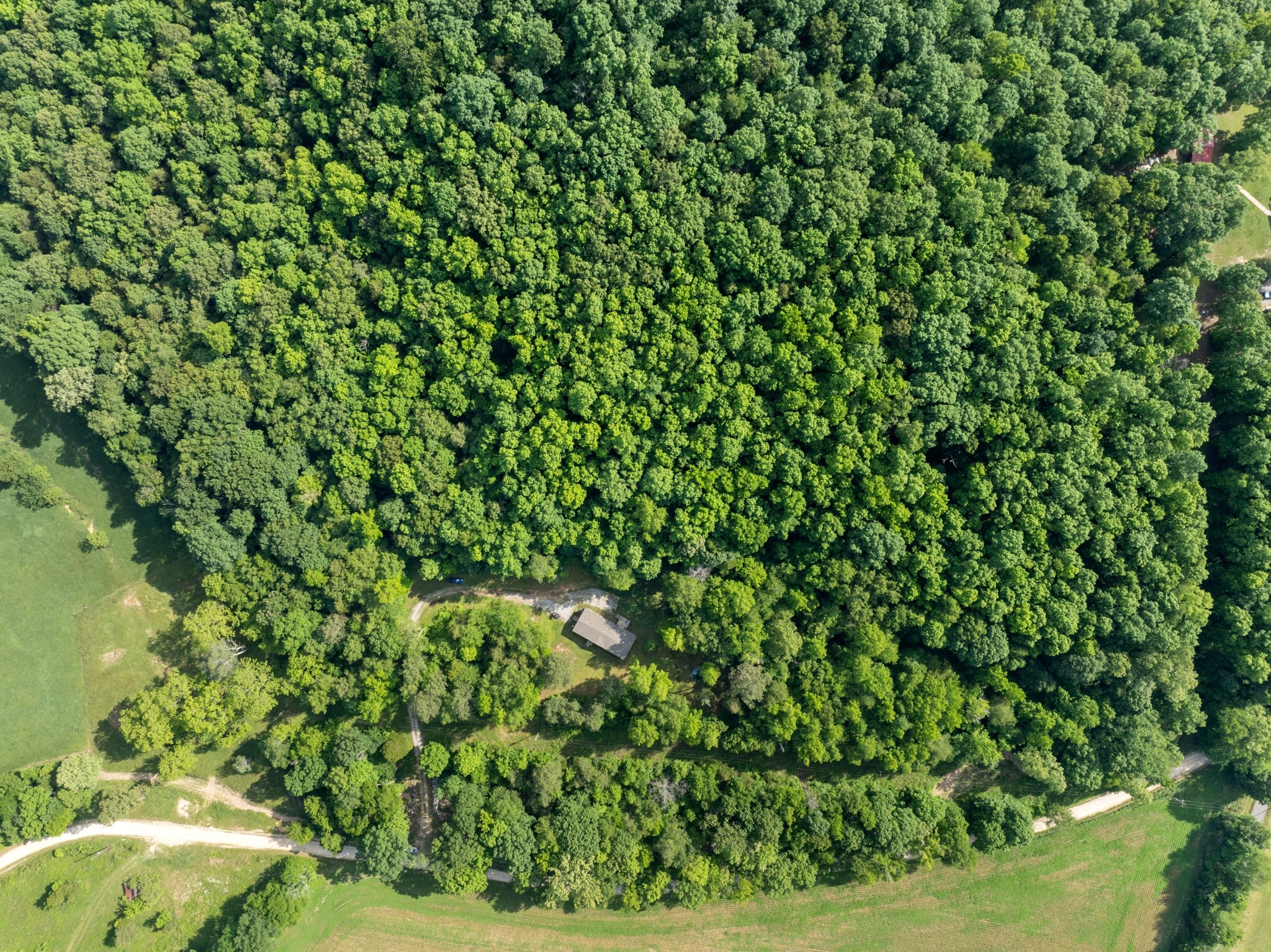 1101 Tom Brown Road McEwen, TN 37101 - Photo 45 of 45 Gallery Image 45
