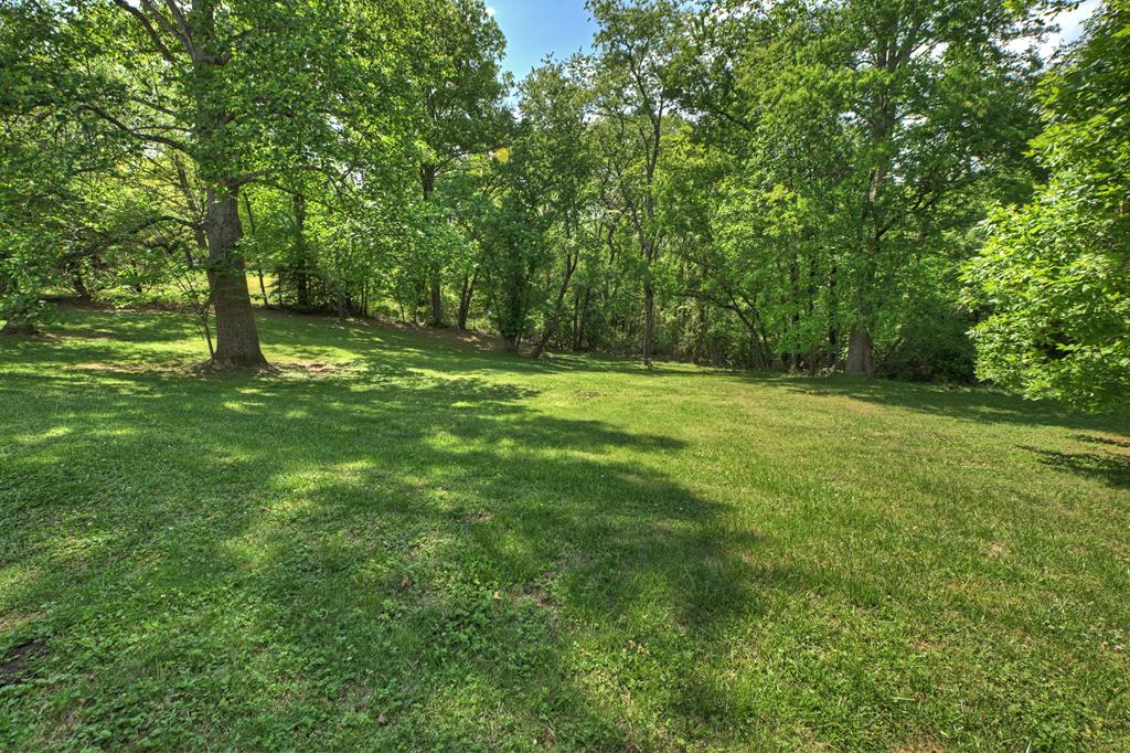 380 La Vista Drive Blue Ridge, GA 30513 - Photo 43 of 48