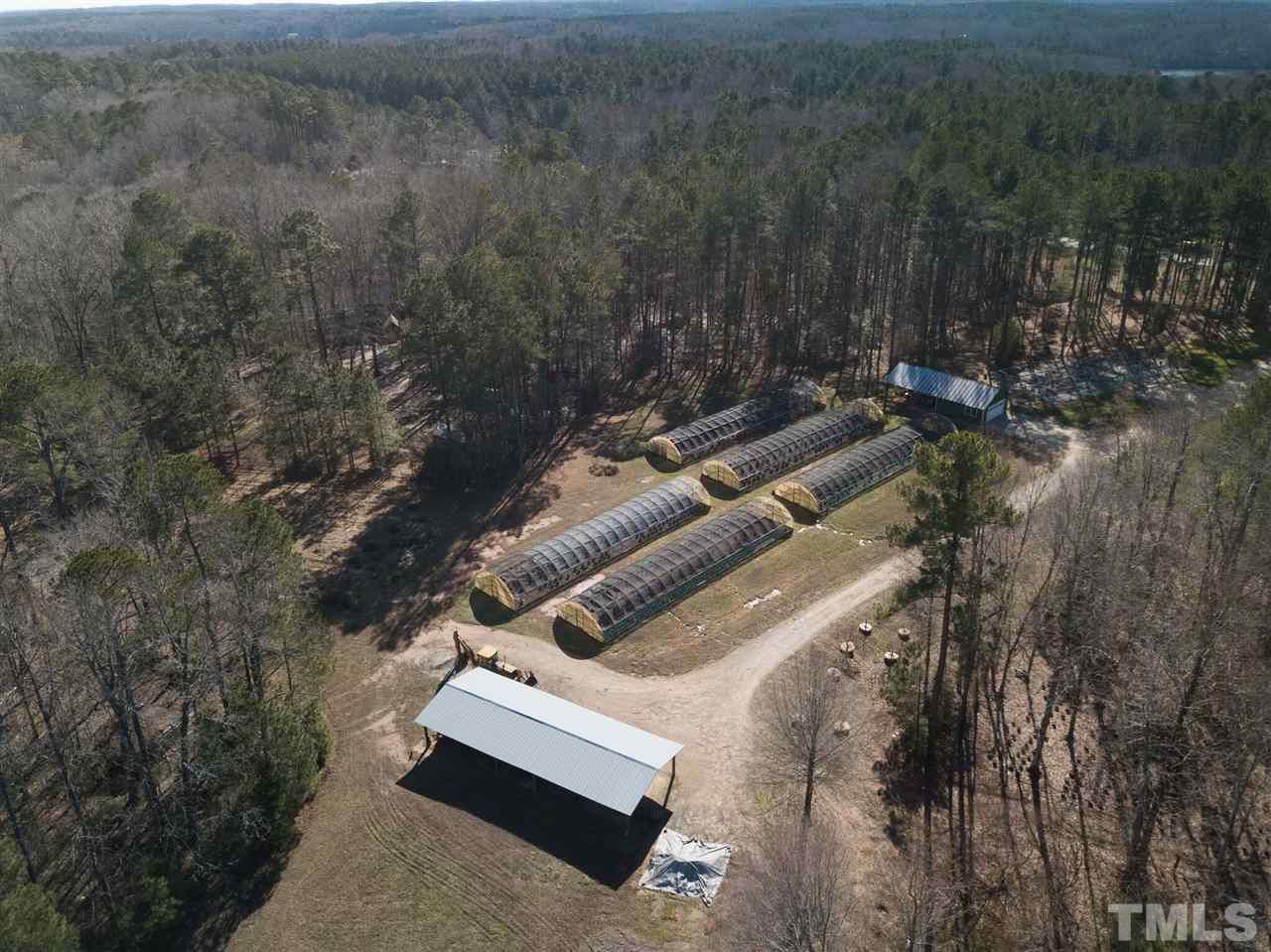 3820 Durham Road Raleigh, NC 27614 - Photo 5 of 11 a view of a yard with a tree