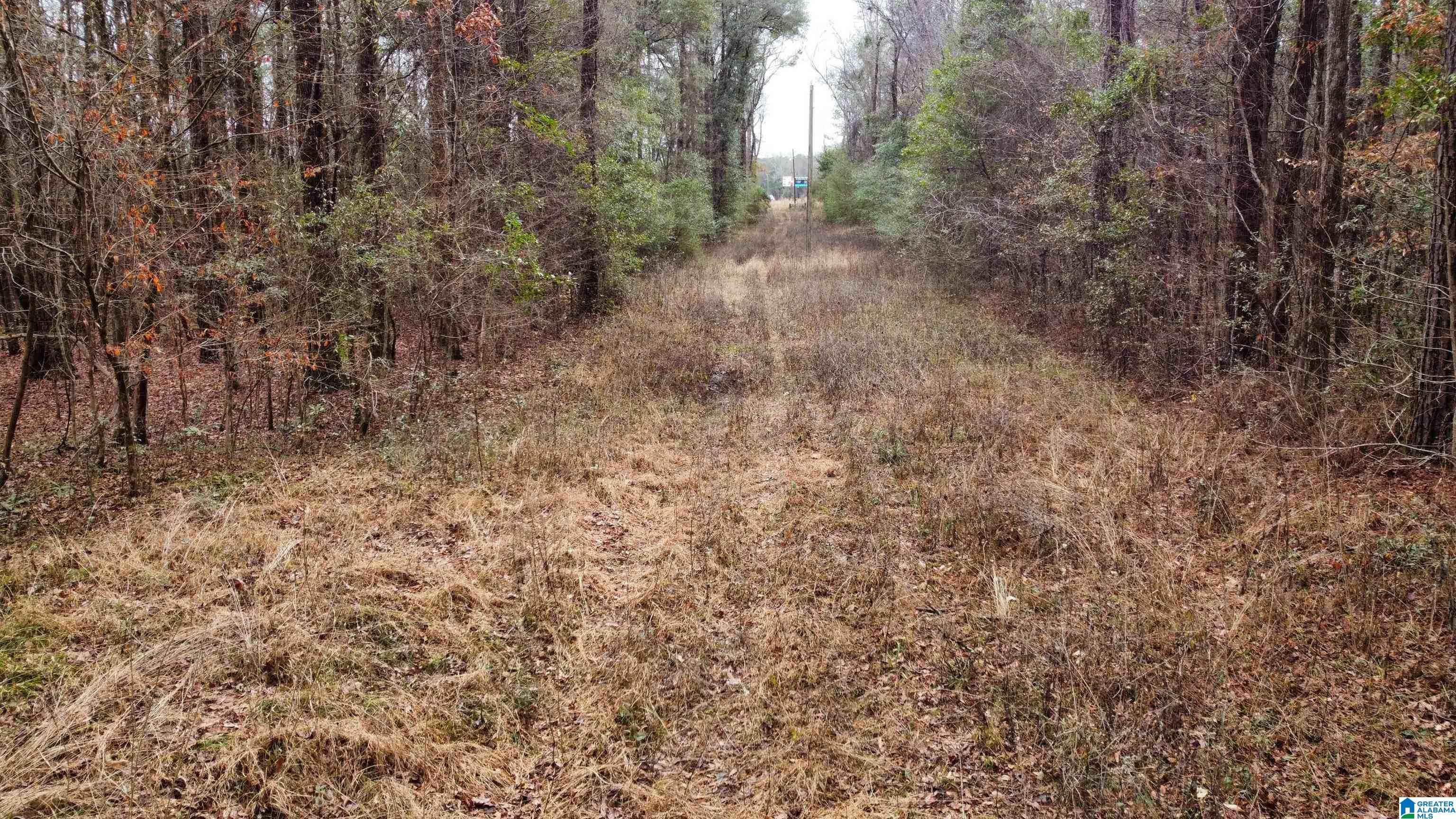 0 Cardinal Lane Eutaw, AL 35462 - Photo 3 of 16