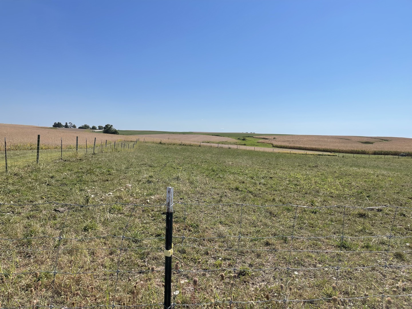 North 2150th Road Oglesby, IL 61348 - Photo 19 of 25 a view of an ocean