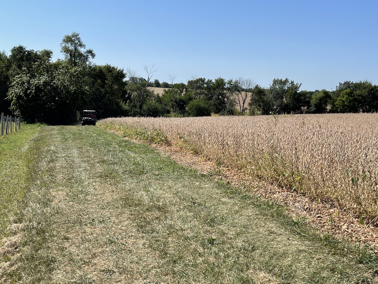 North 2150th Road Oglesby, IL 61348 - Photo 21 of 25 a view of outdoor space and trees