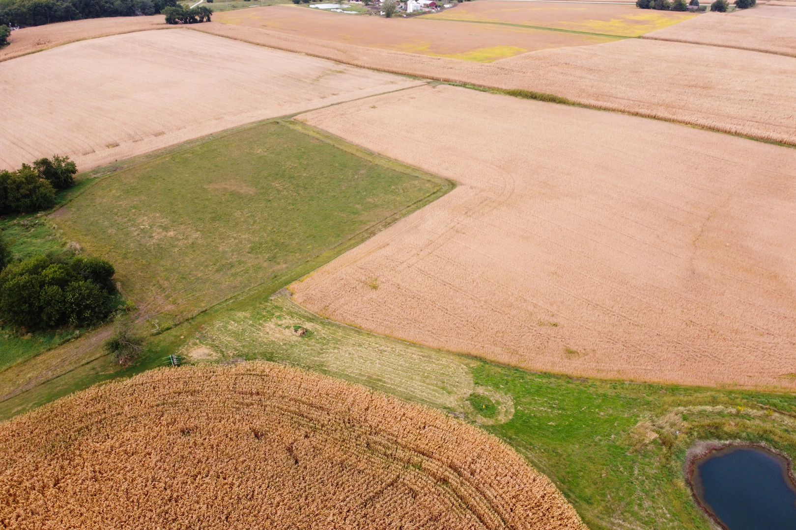 North 2150th Road Oglesby, IL 61348 - Photo 9 of 25 a view of a yard
