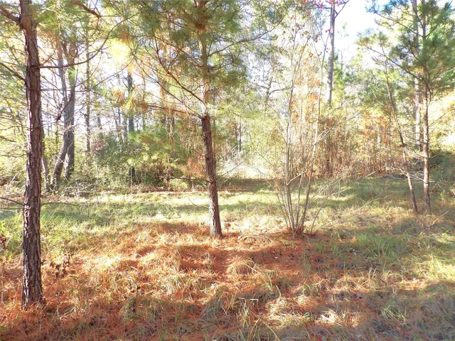a view of a yard with trees