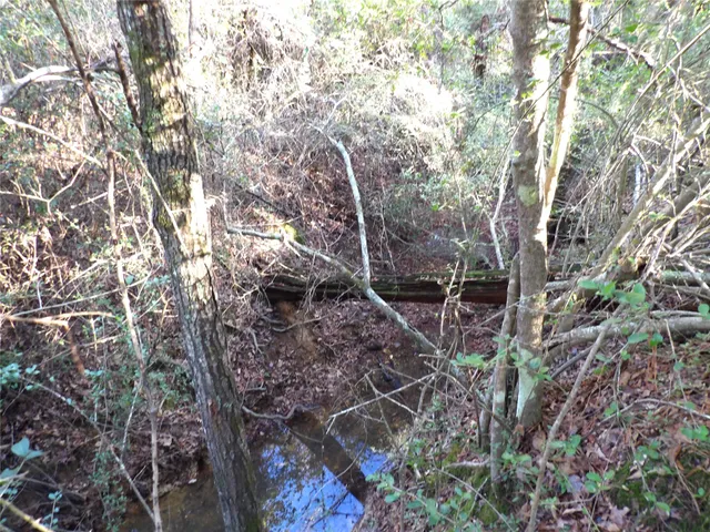 a view of lake with green space