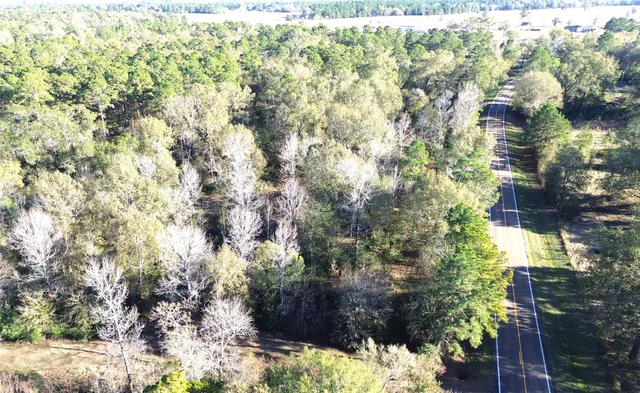 a view of a yard with plants