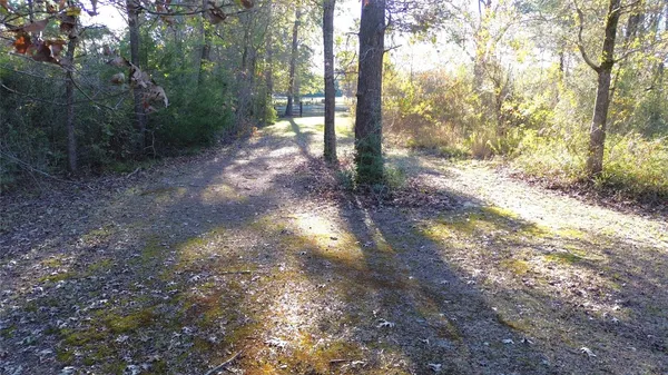 a view of a yard with trees