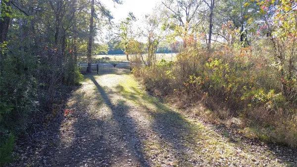 a view of backyard with green space