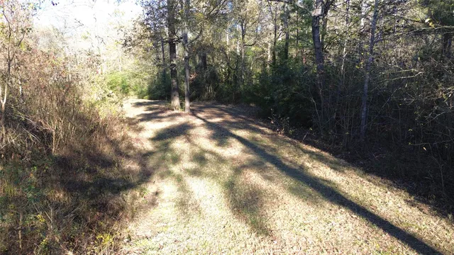 a view of outdoor space and yard