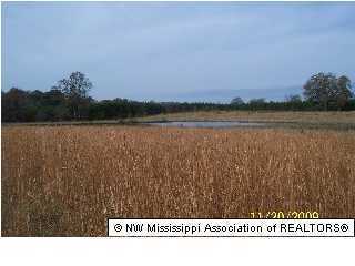 115 Gillon Road Grenada, MS 38901 - Photo 2 of 10 Additional Photo