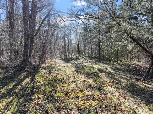 $2,250,000 | 4701 Browns Mill Road, Lascassas, TN 37085