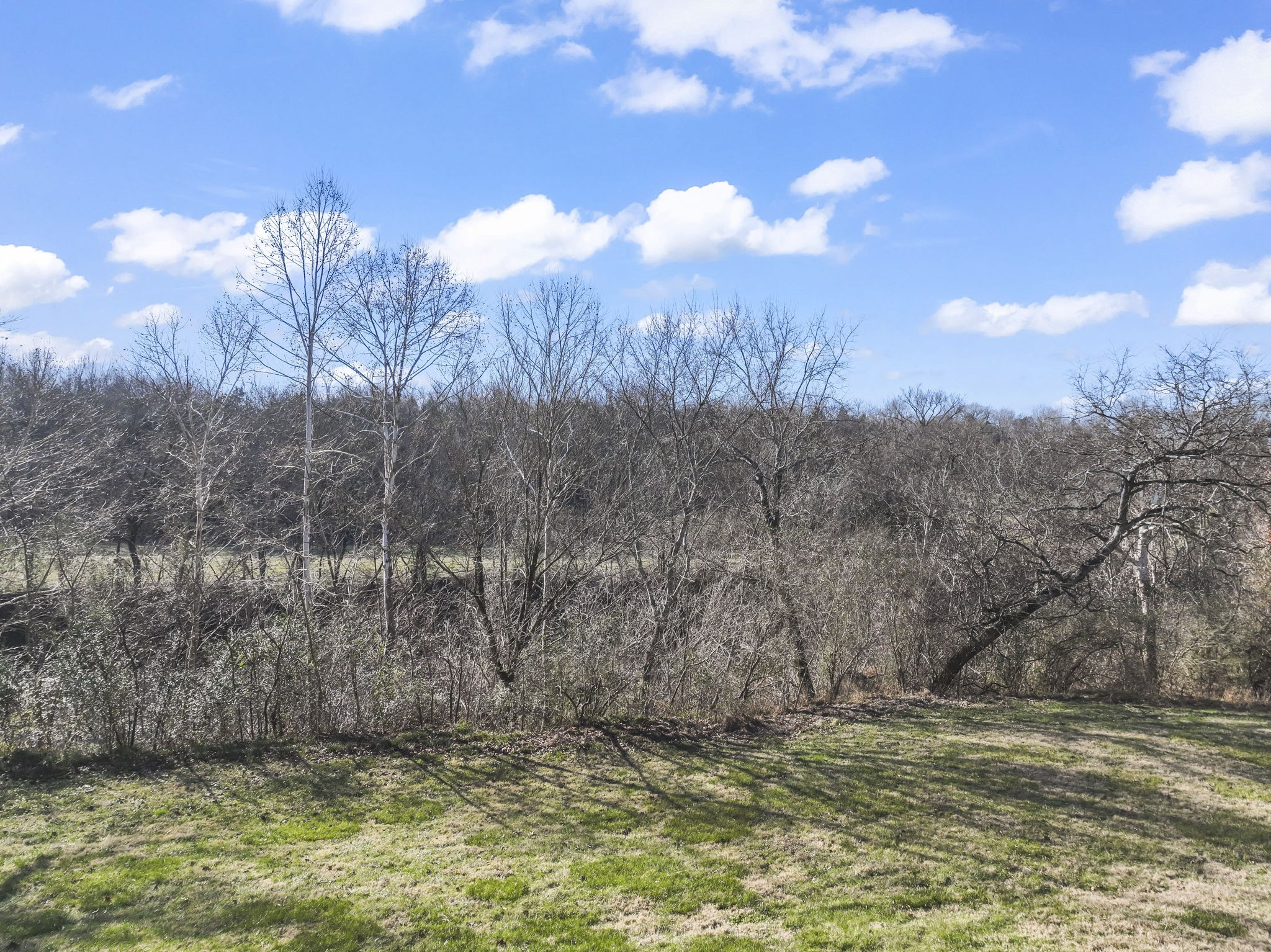 4701 Browns Mill Road Lascassas, TN 37085 - Photo 77 of 89