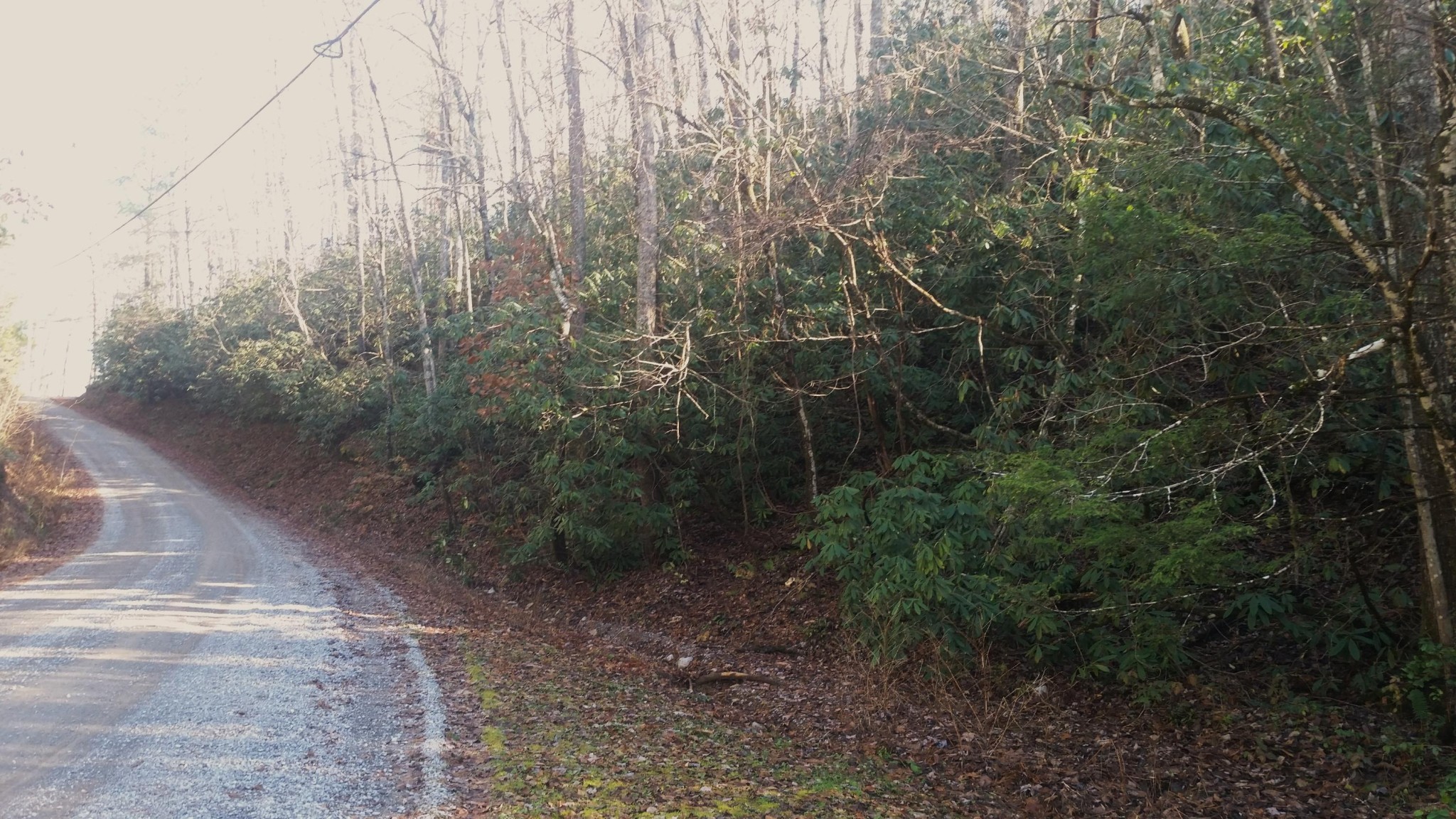 0 Bear Paw Road Walland, TN 37886 - Photo 8 of 11 Gallery Image 8