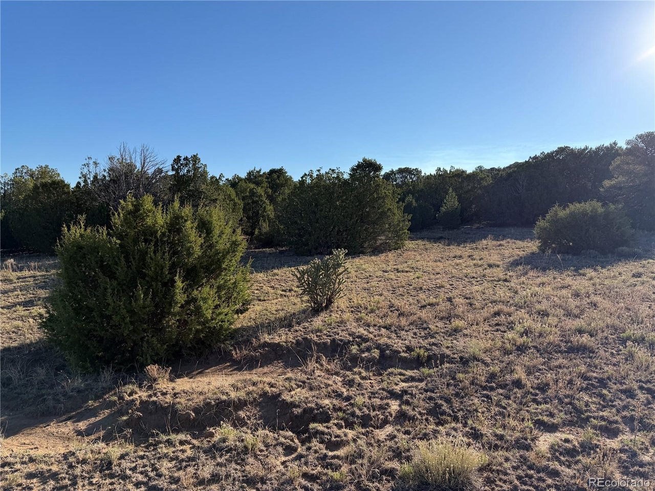 141 River Ridge Trail Walsenburg, CO 81089 - Photo 15 of 28 Gallery Image 15