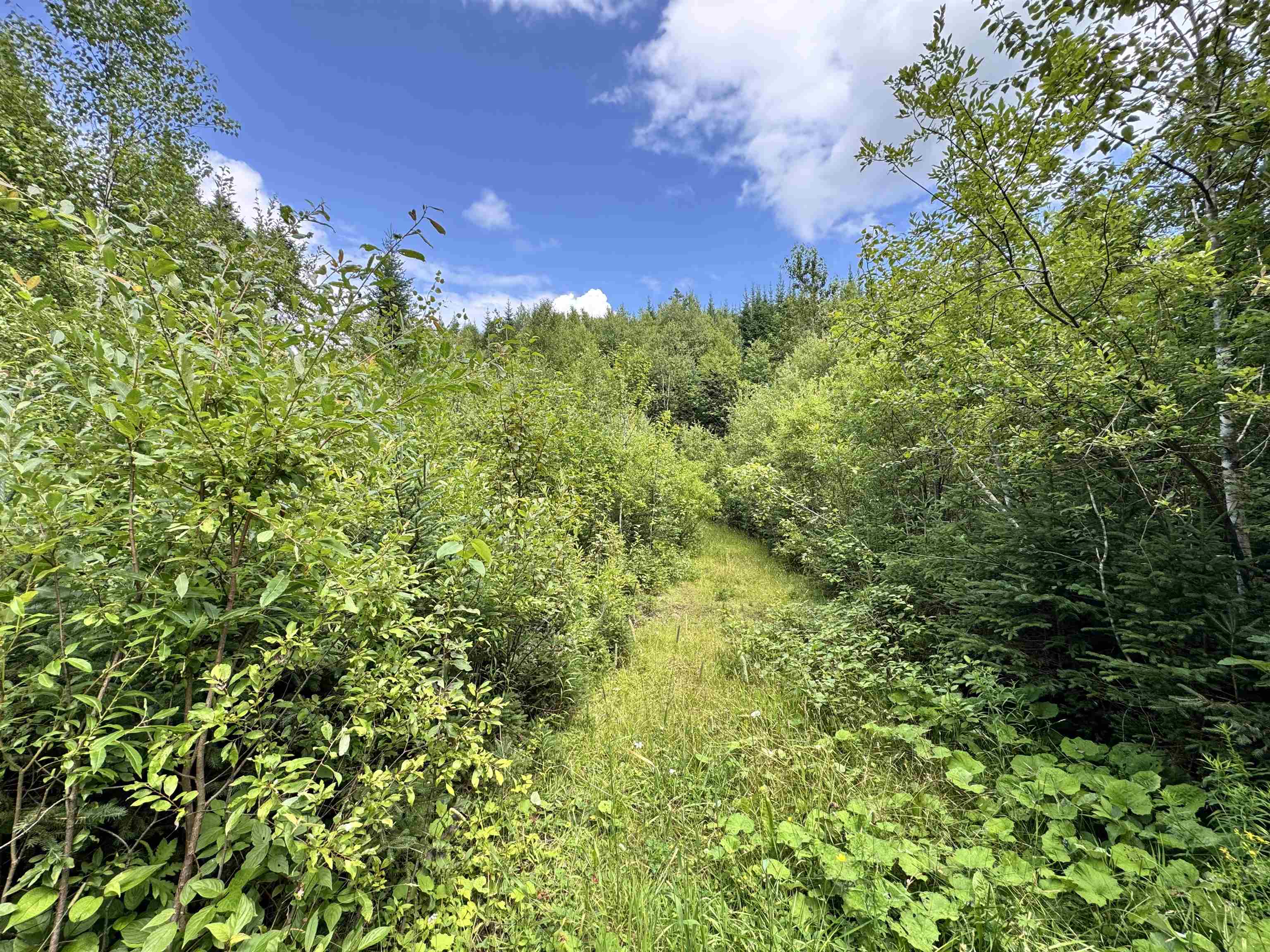 Lot 10 Quimby Road Stewartstown, NH 03576 - Photo 4 of 10 Gallery Image 4