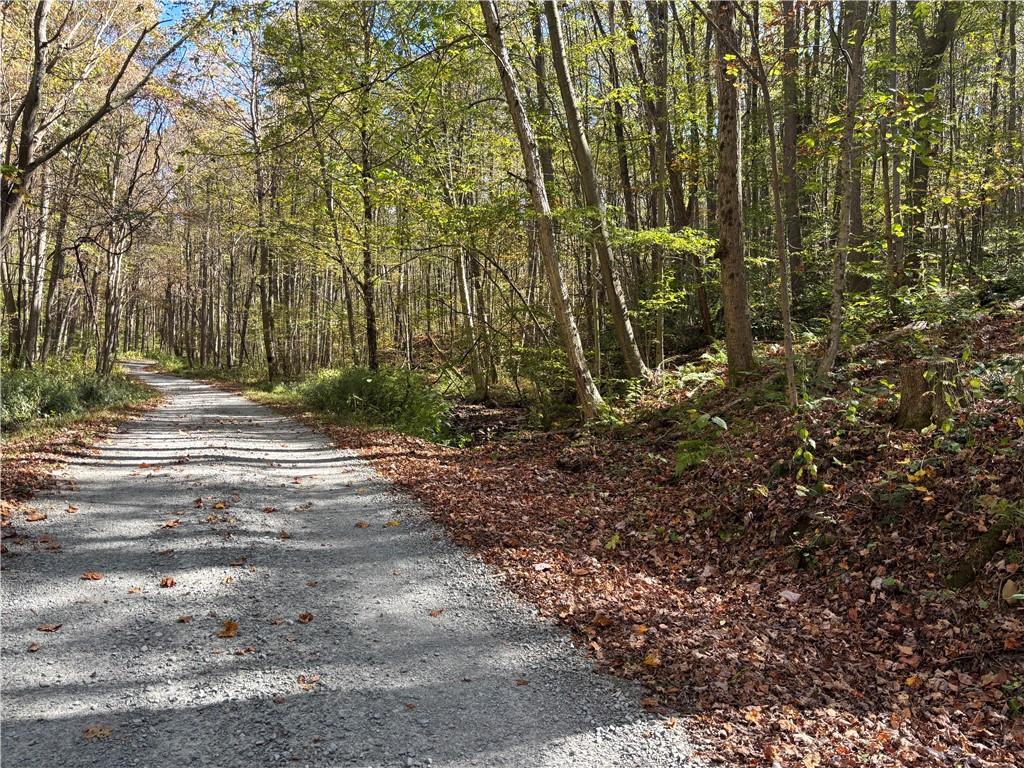 Lot 1 Neals Run Road Champion, PA 15622 - Photo 2 of 11 a pathway of a yard