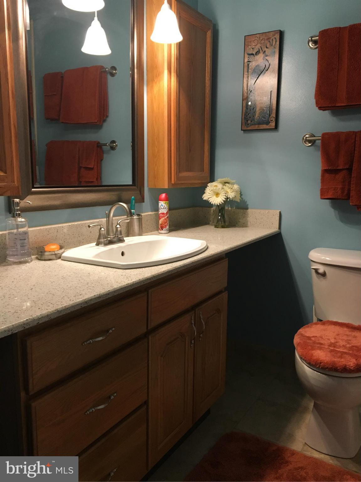 8700 Loughran Road Fort Washington, MD 20744 - Photo 6 of 12 Bath