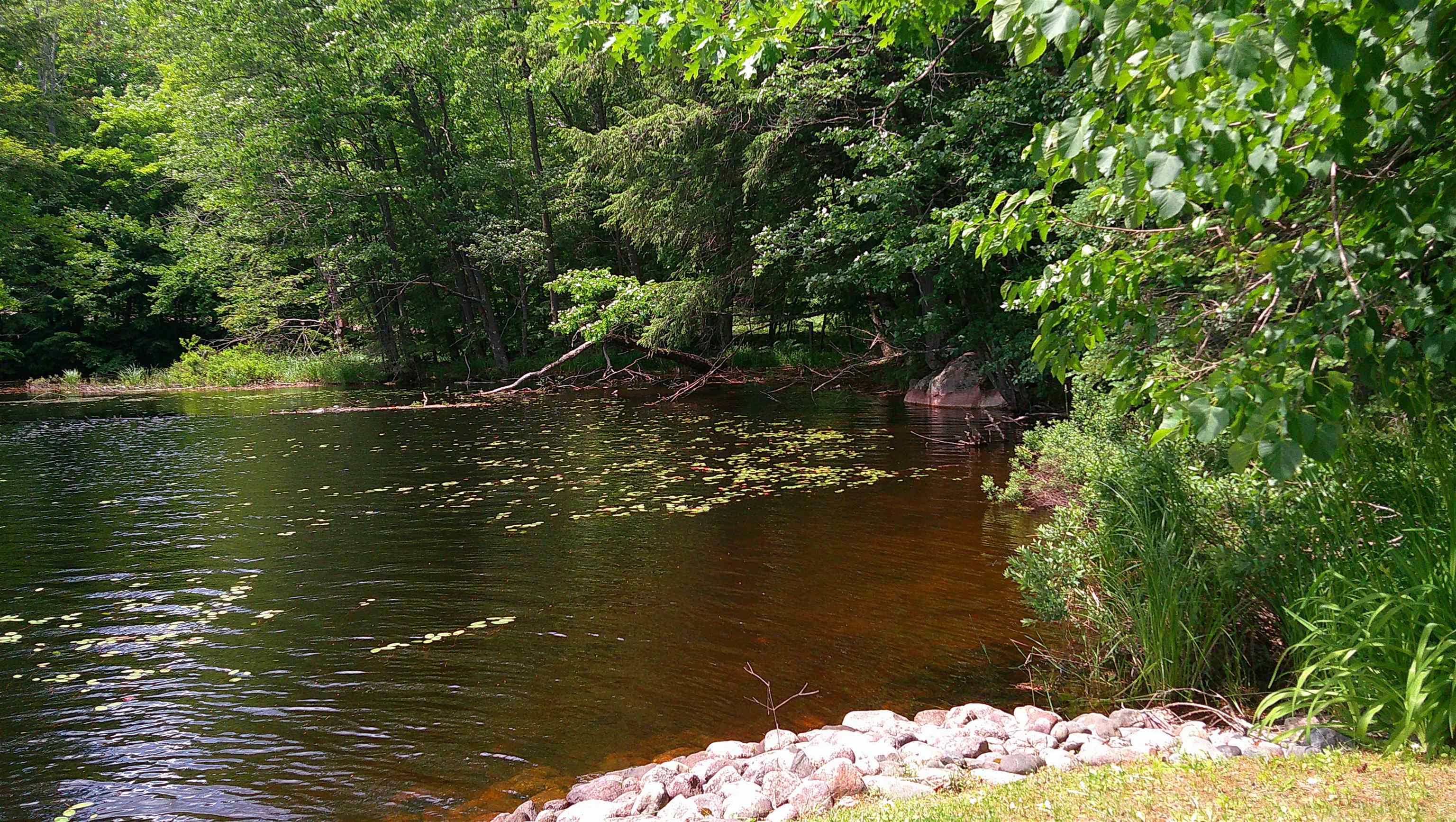 N8793 Water Power Road Deerbrook, WI 54424 - Photo 27 of 58