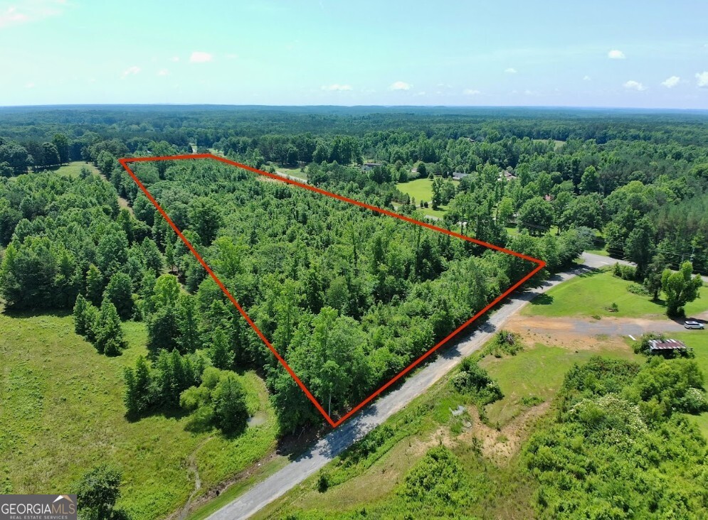 0 Prospect Road Nauvoo, AL 35578 - Photo 17 of 19