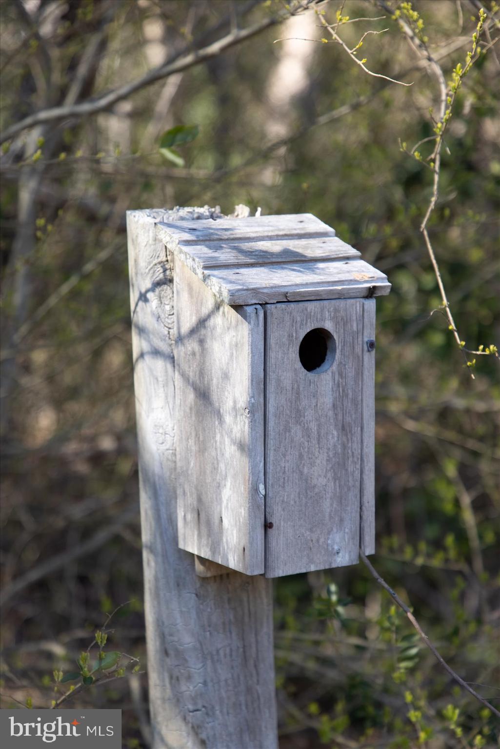 32828 Murray Road Dagsboro, DE 19939 - Photo 112 of 122