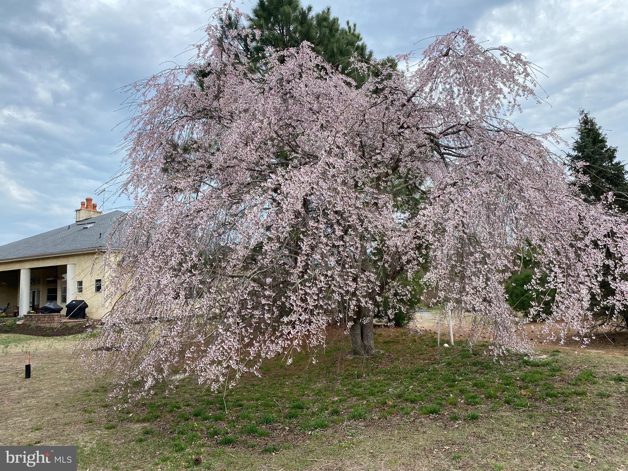 32828 Murray Road Dagsboro, DE 19939 - Photo 113 of 122