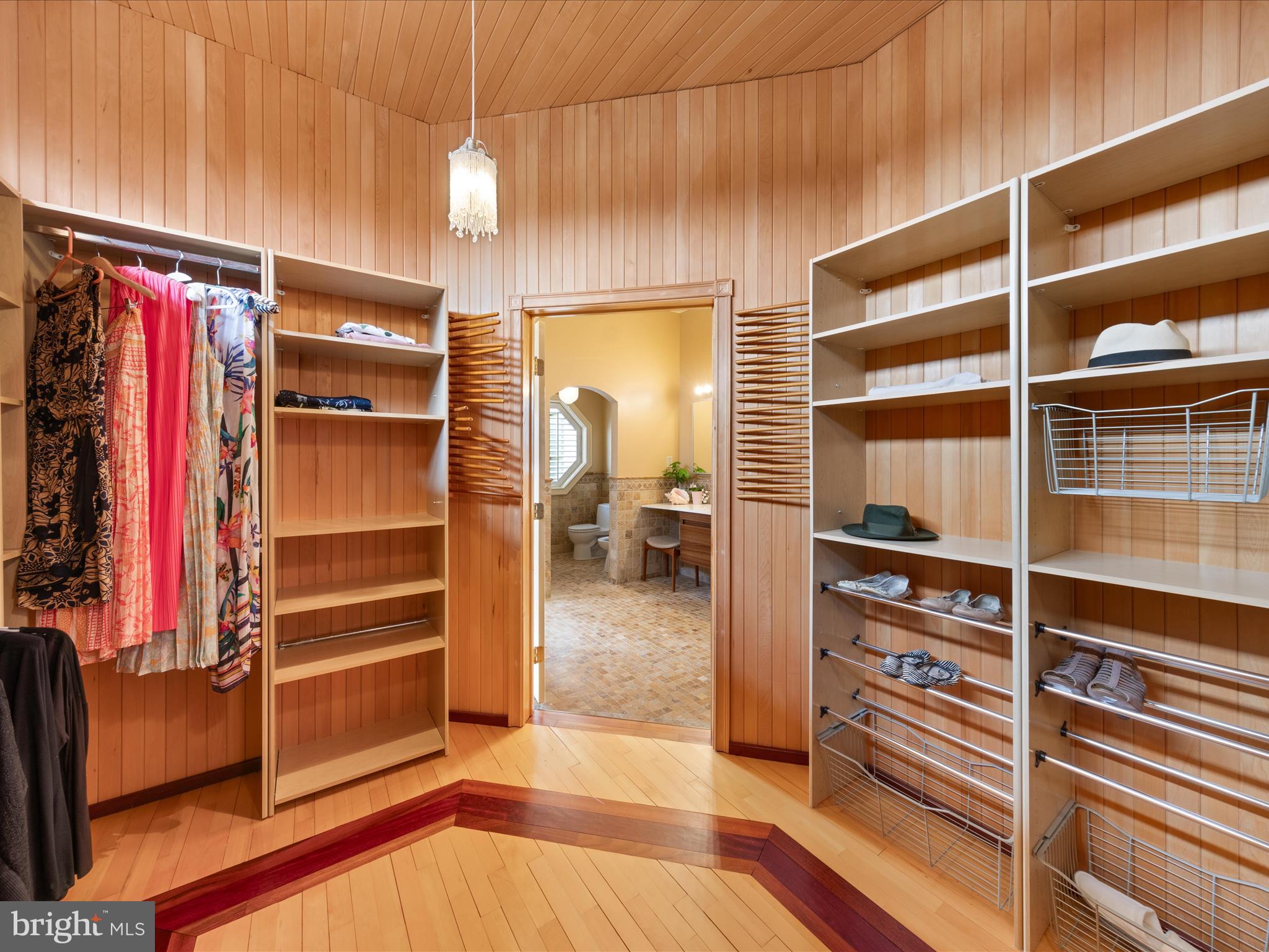 32828 Murray Road Dagsboro, DE 19939 - Photo 38 of 122 Stunning walk-in closet