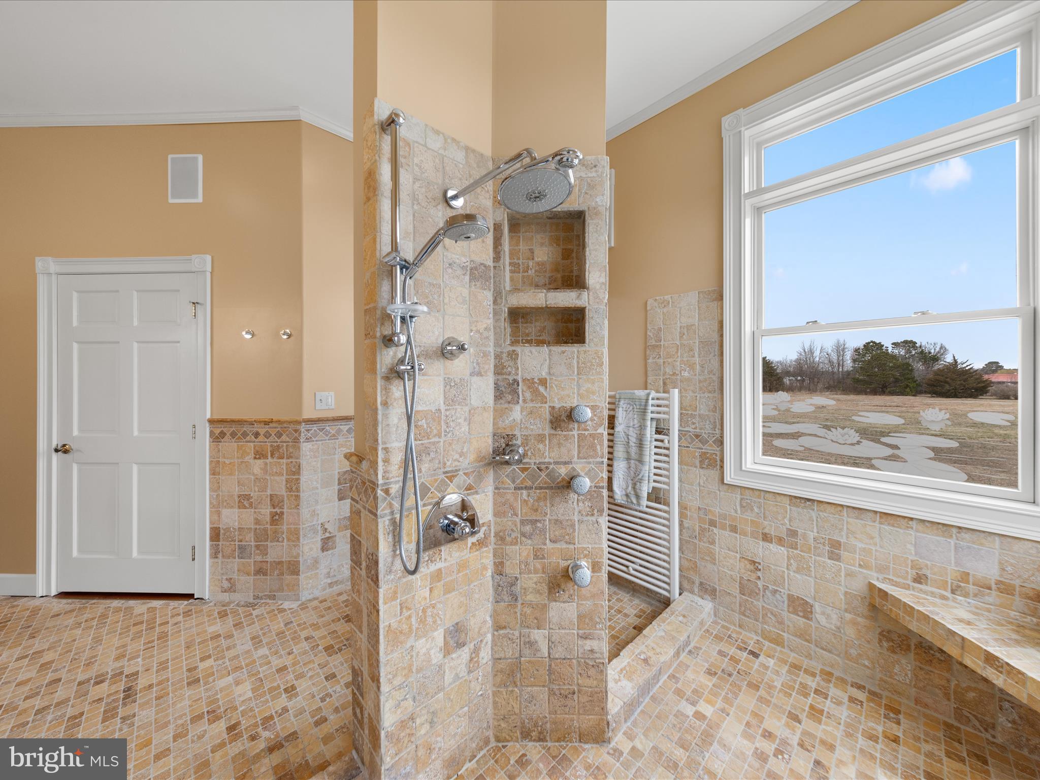 32828 Murray Road Dagsboro, DE 19939 - Photo 46 of 122 Rainshower heads and body jets