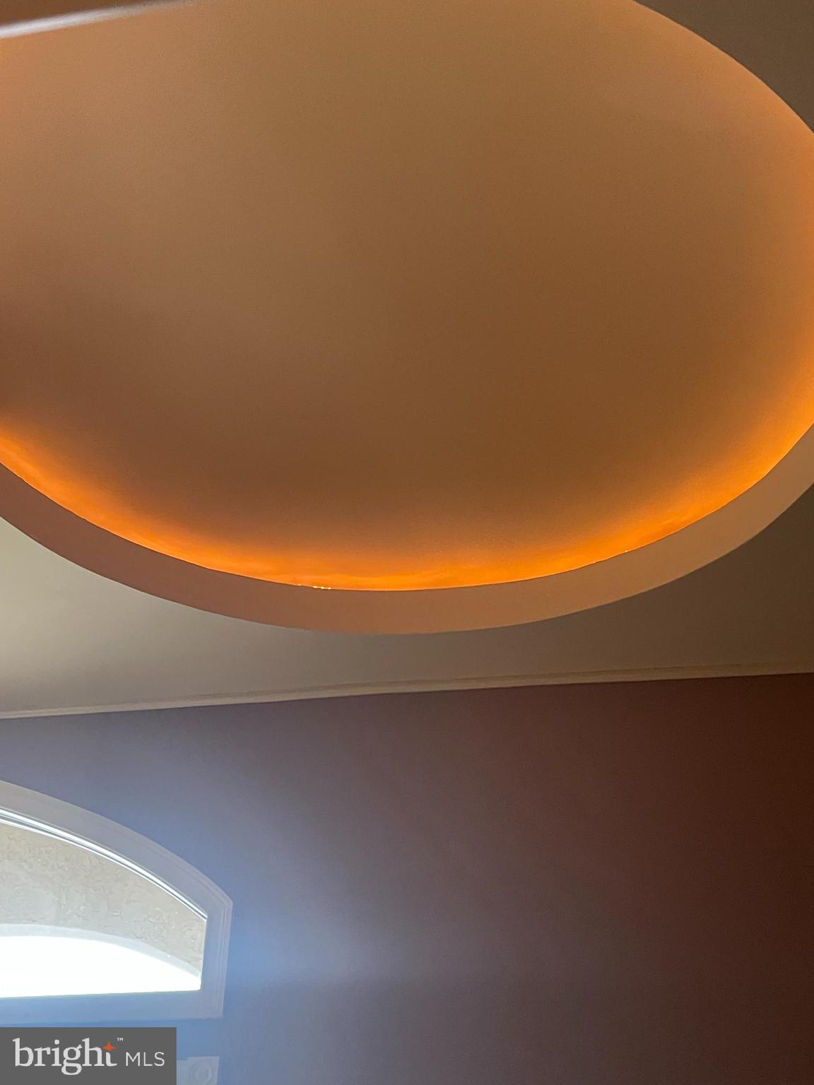 32828 Murray Road Dagsboro, DE 19939 - Photo 59 of 122 Lighted dome ceiling in Office # 2