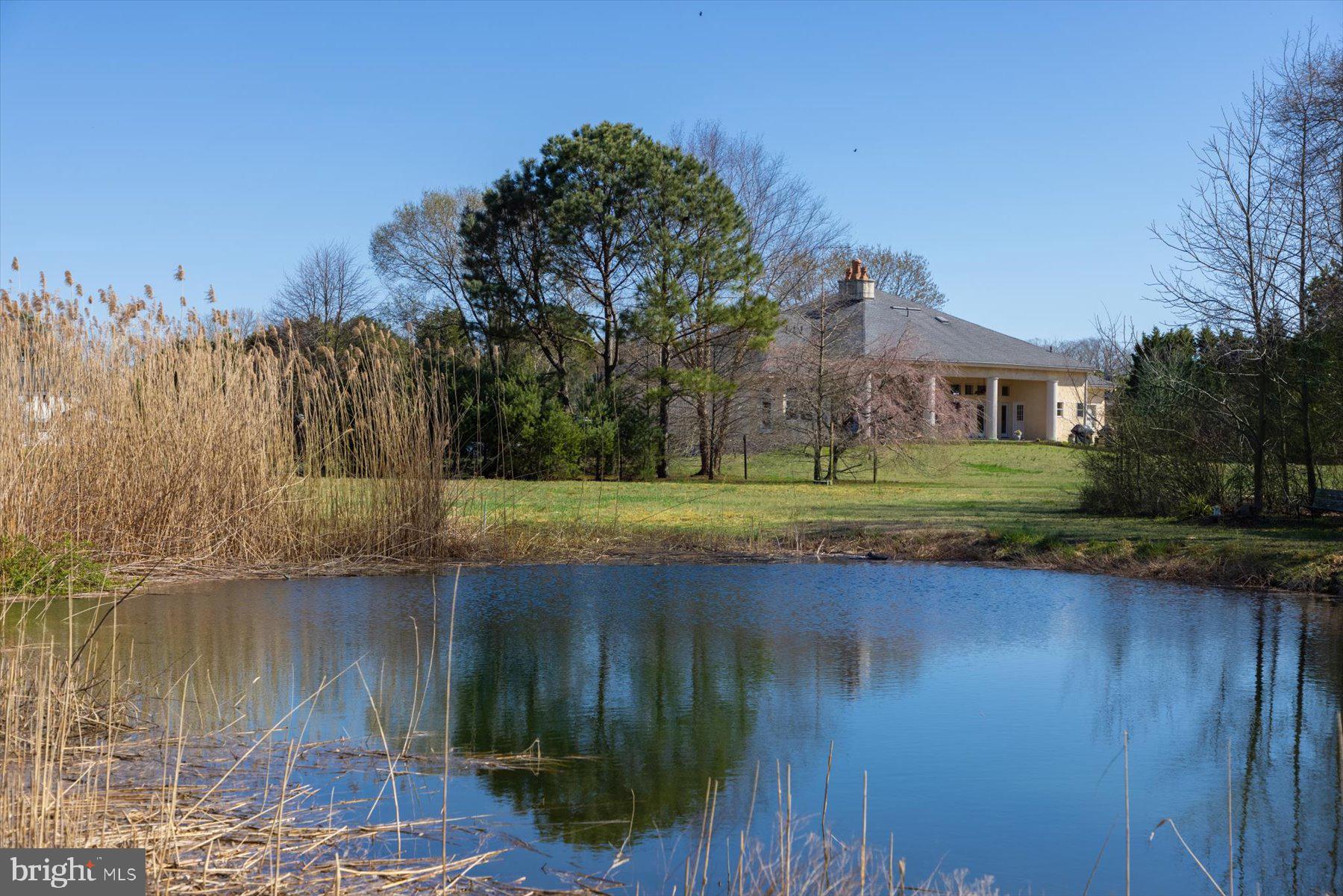 32828 Murray Road Dagsboro, DE 19939 - Photo 7 of 122