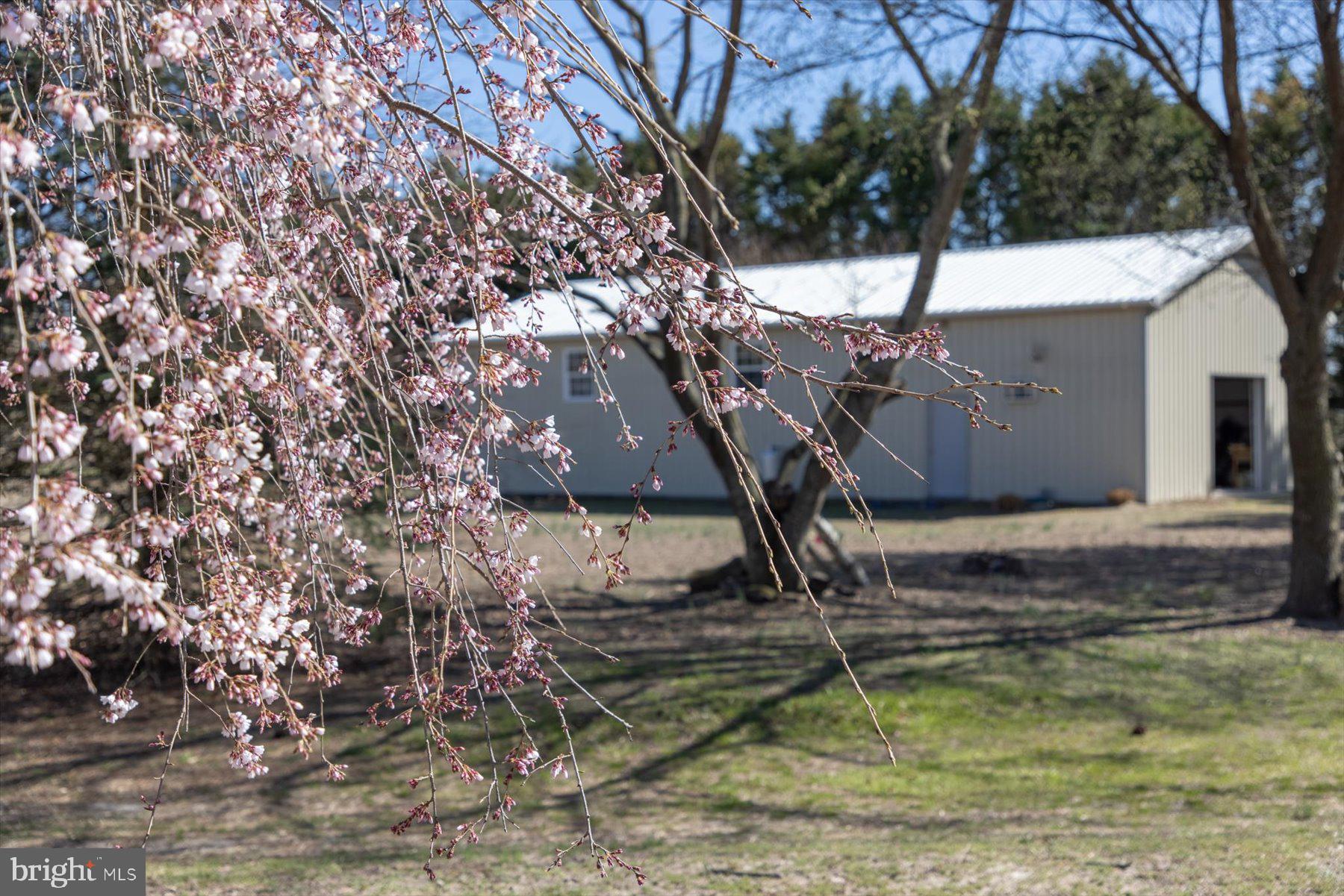 32828 Murray Road Dagsboro, DE 19939 - Photo 91 of 122