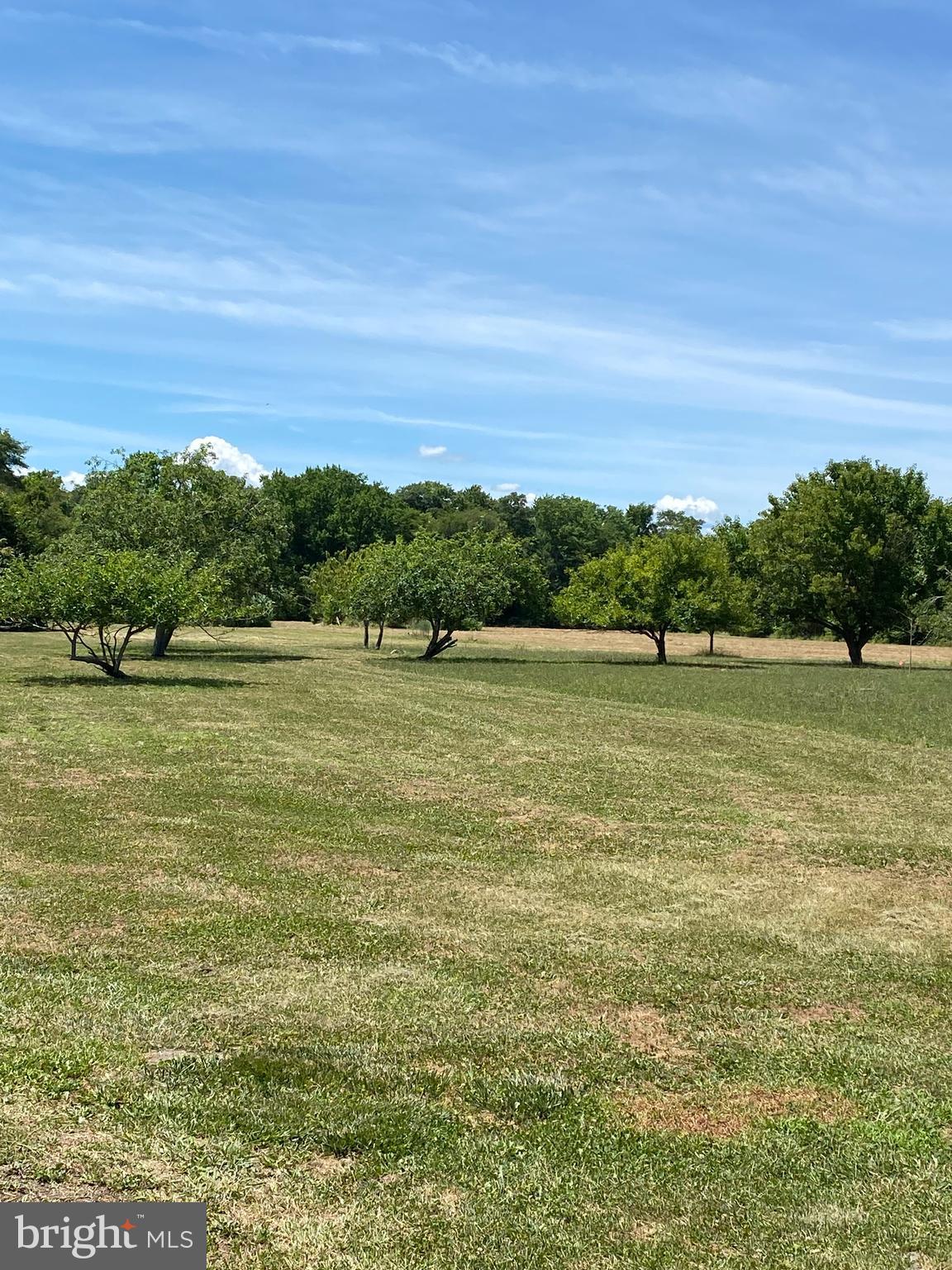 32828 Murray Road Dagsboro, DE 19939 - Photo 96 of 122