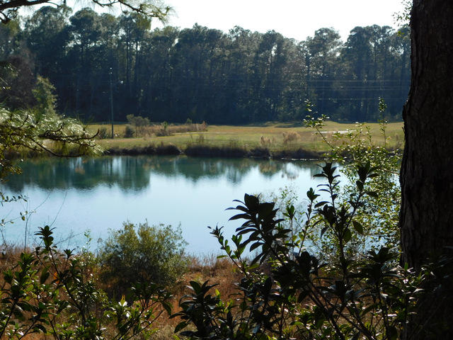 2800 Pinnacle Point Drive Crestview, FL 32539 - Photo 36 of 48