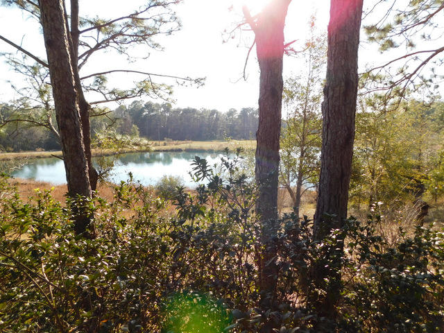 2800 Pinnacle Point Drive Crestview, FL 32539 - Photo 37 of 48