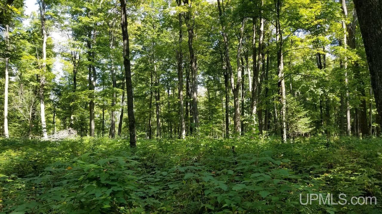 217 Reiman Road Iron River, MI 49935 - Photo 72 of 76