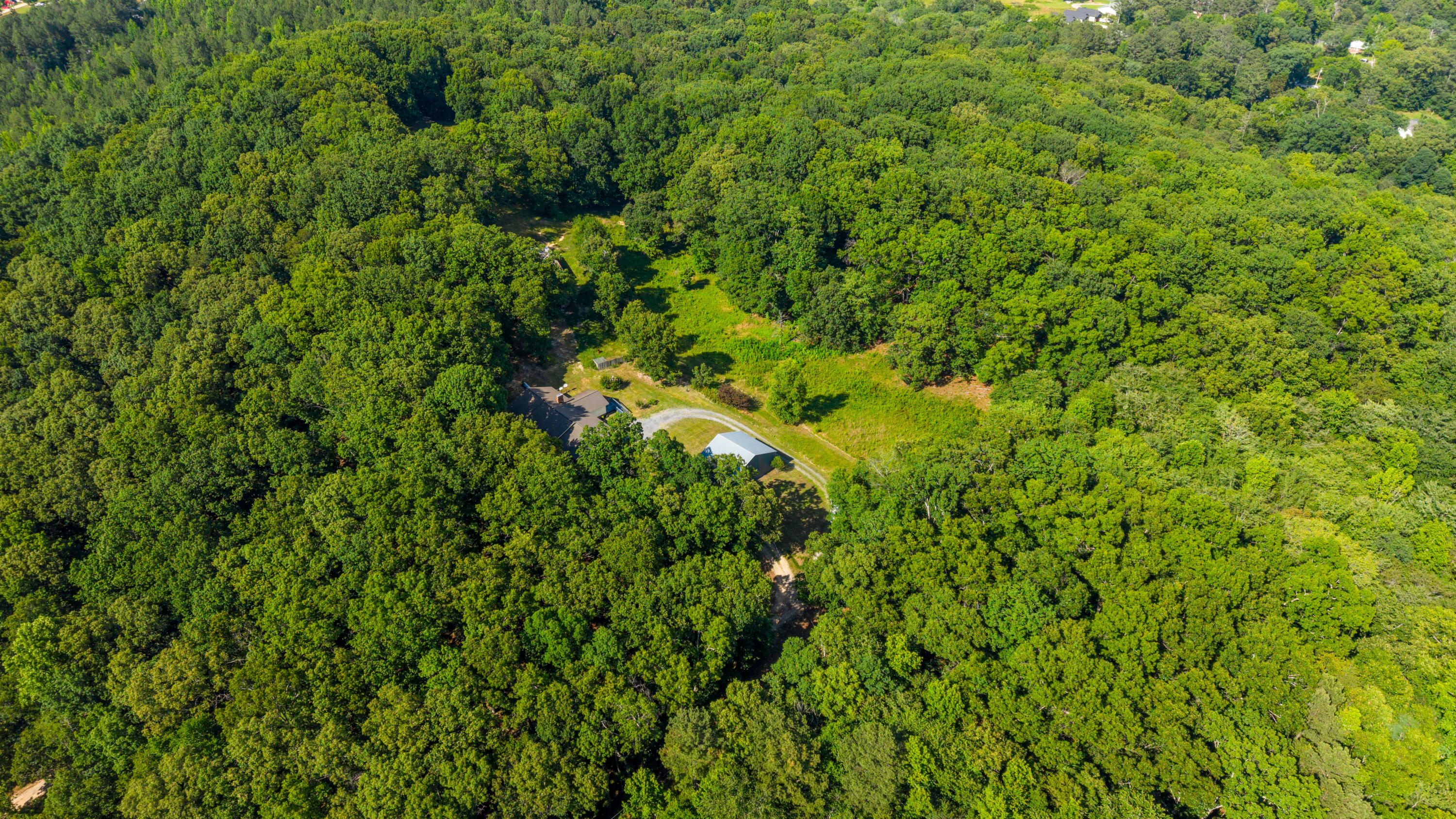 3270 Lake Kathy Road Tunnel Hill, GA 30755 - Photo 5 of 51 Tucked in the trees