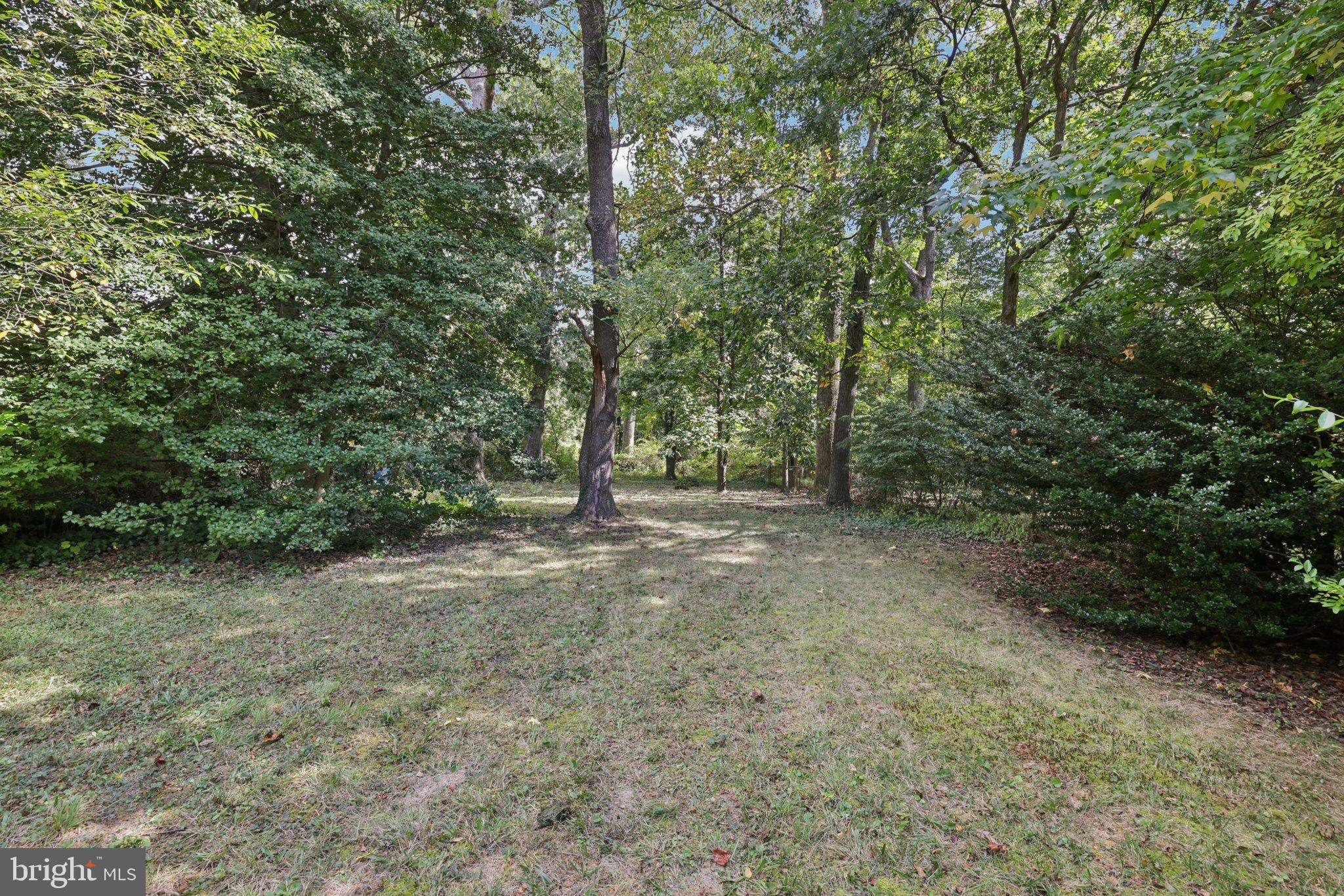 6907 Moyer Avenue Baltimore, MD 21234 - Photo 44 of 48 Serene wooded retreat awaits your vision.