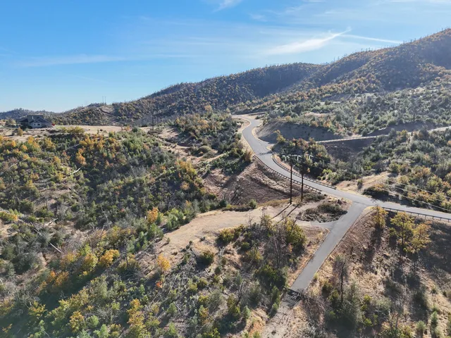 an aerial view of residential building and trees around