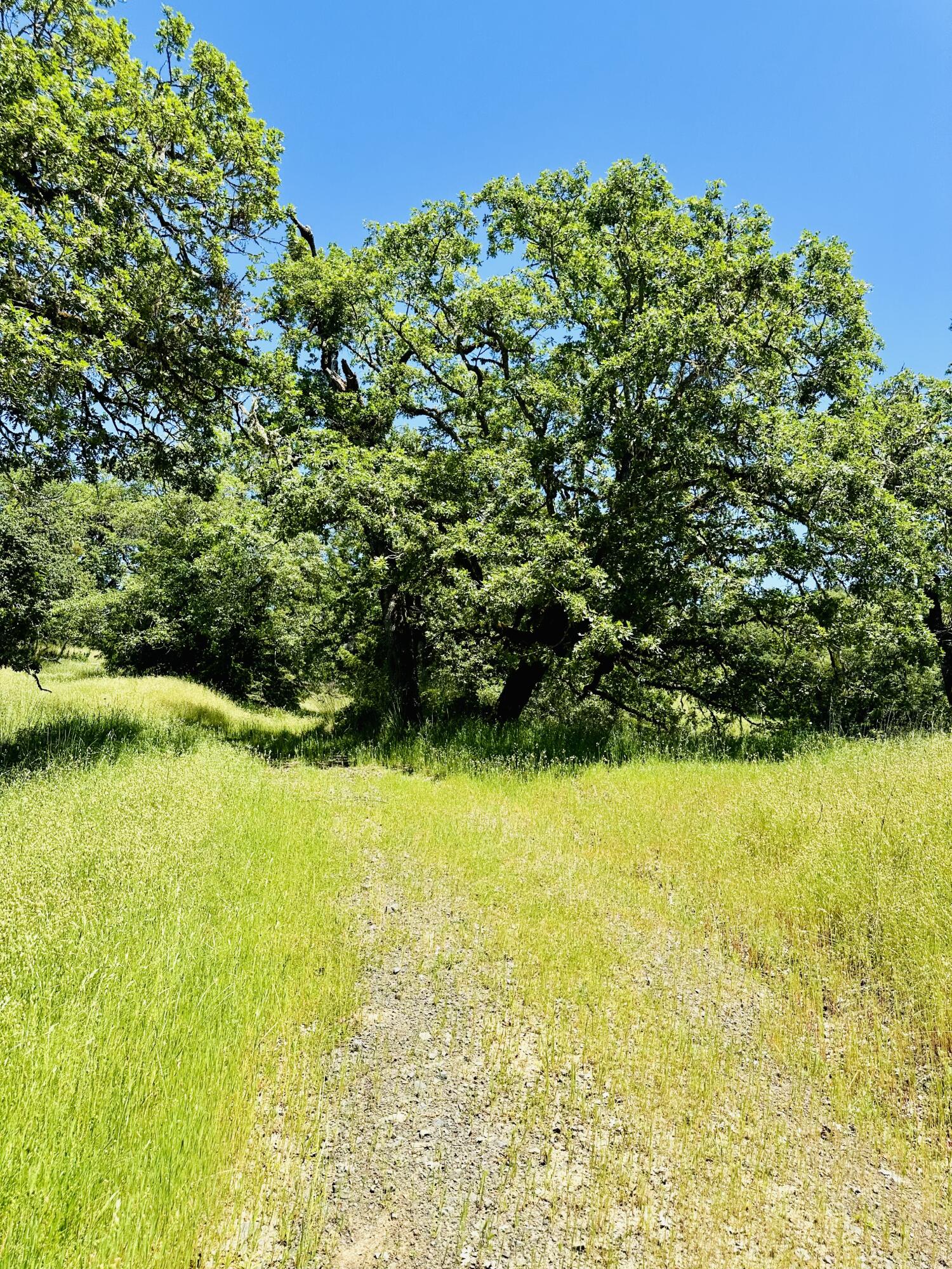 400 Seely Creek Road Redway, CA 95560 - Photo 50 of 73
