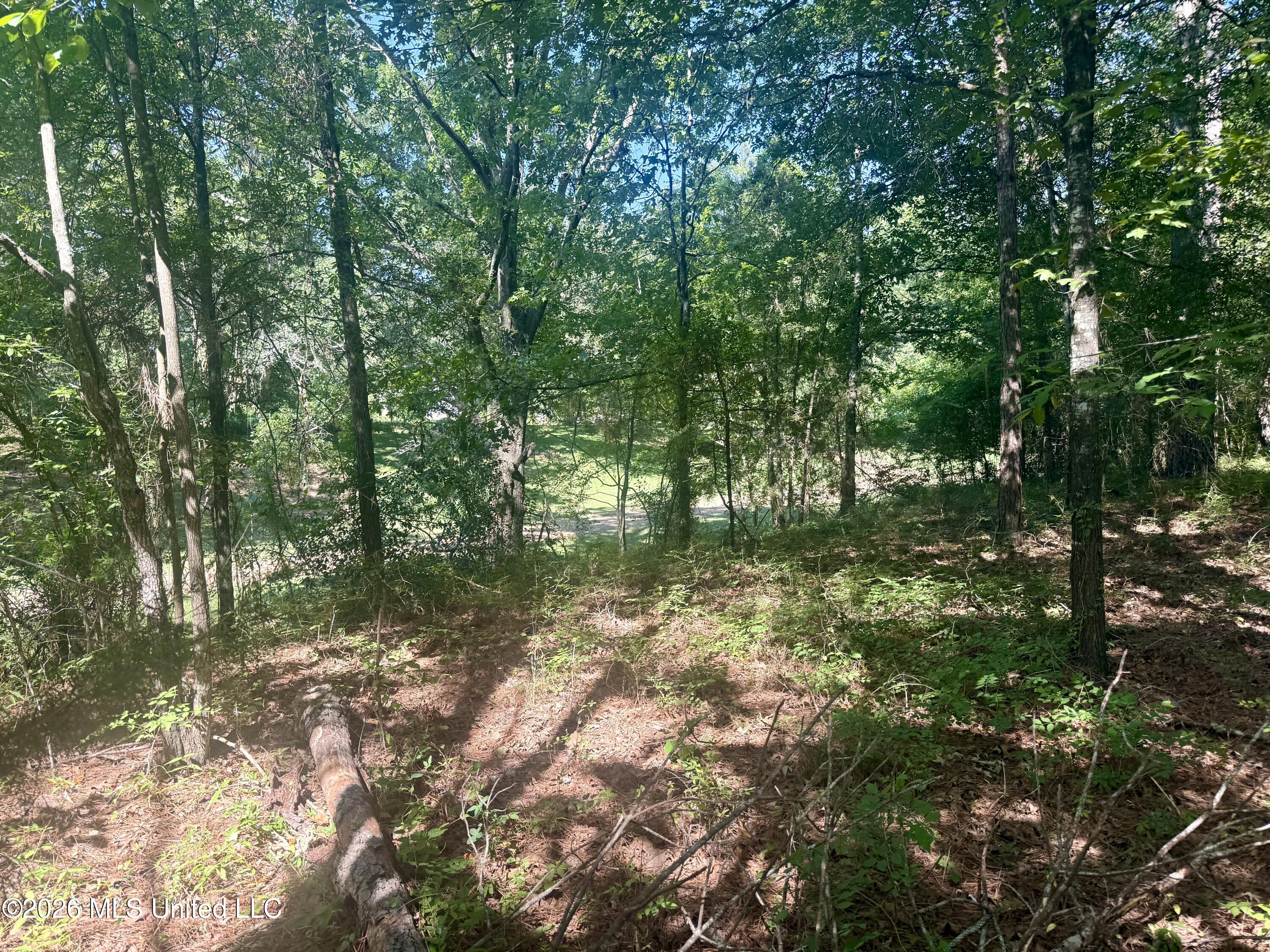 Willow Way Flora, MS 39071 - Photo 3 of 13 IMG_3318
