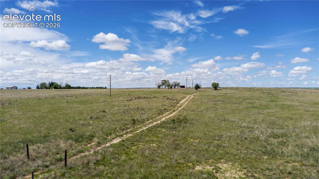 39320 Truckton Road Rush, CO 80833 - Photo 12 of 19 a view of a big yard with lots of green space