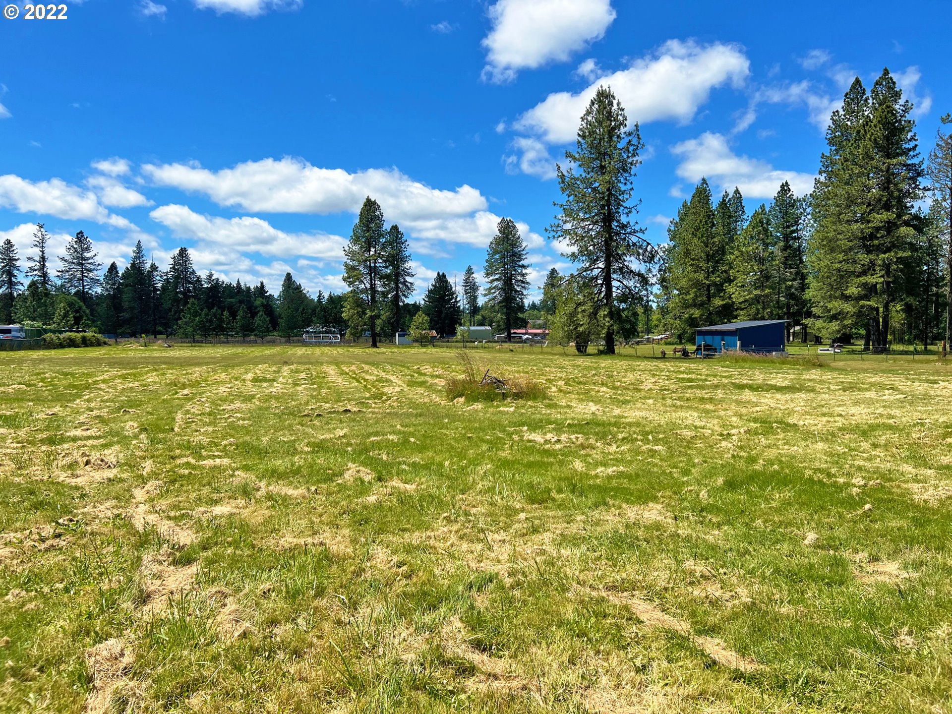 88296 Huston Road Veneta, OR 97487 - Photo 5 of 21 Acreage