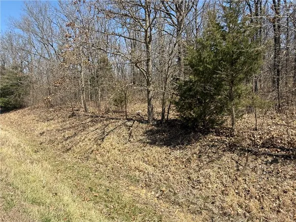 $42,500 | 97 Highway Jerico Springs, Jerico Springs, MO 64756