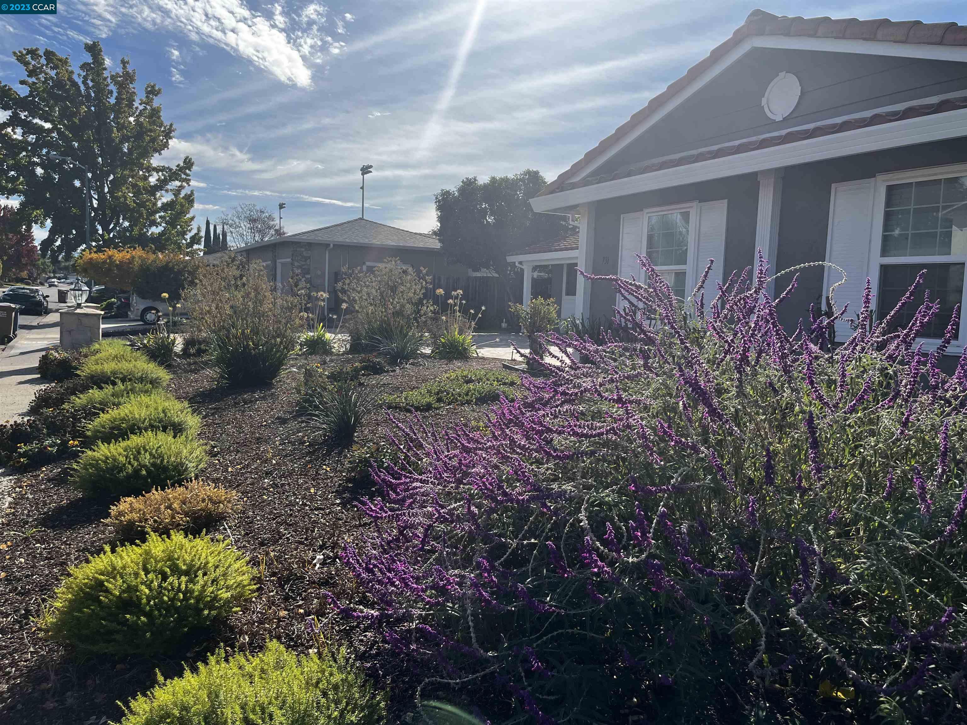 731 Graymont Circle Concord, CA 94518 - Photo 6 of 9 a front view of a house with a yard