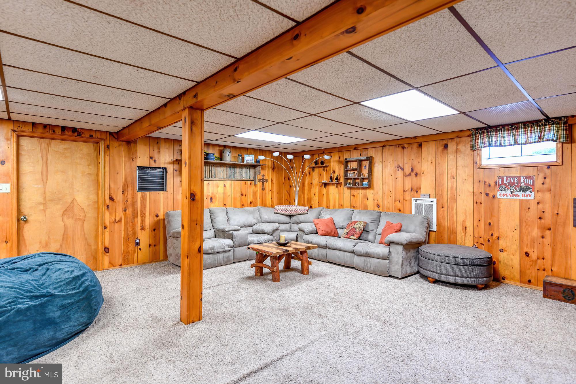 165 Mountain Road Danville, PA 17821 - Photo 9 of 10 Cozy basement retreat with rustic charm.