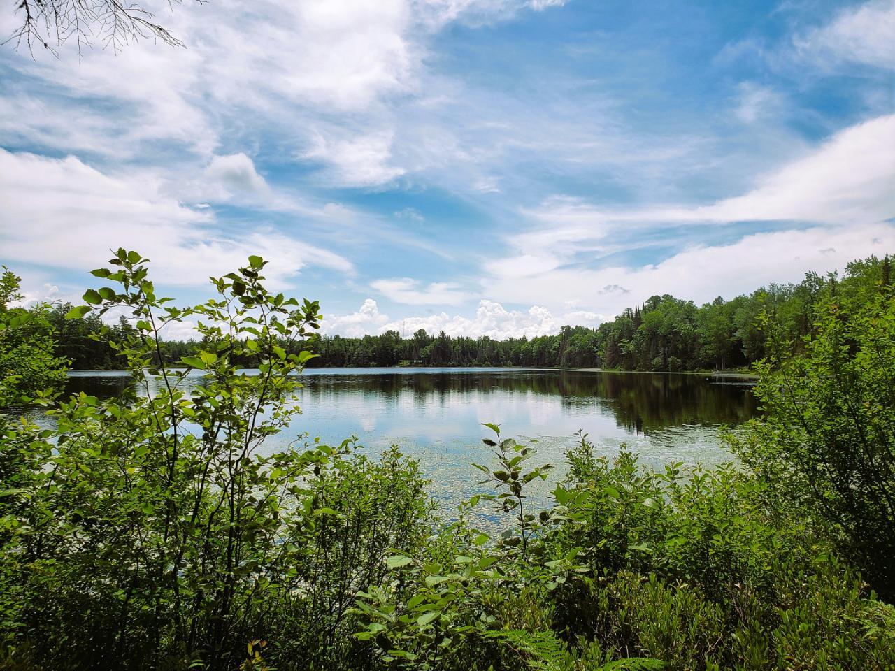 Lot 6 Blue Heron Ridge Road Mercer, WI 54547 - Photo 1 of 12 Gallery Image 1