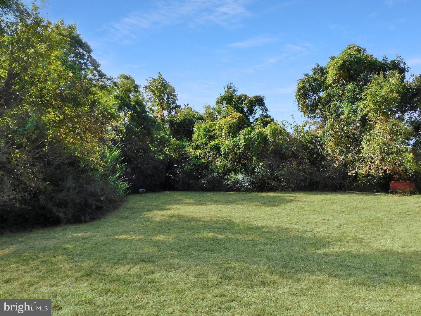 25447 Evas Way Hollywood, MD 20636 - Photo 3 of 11