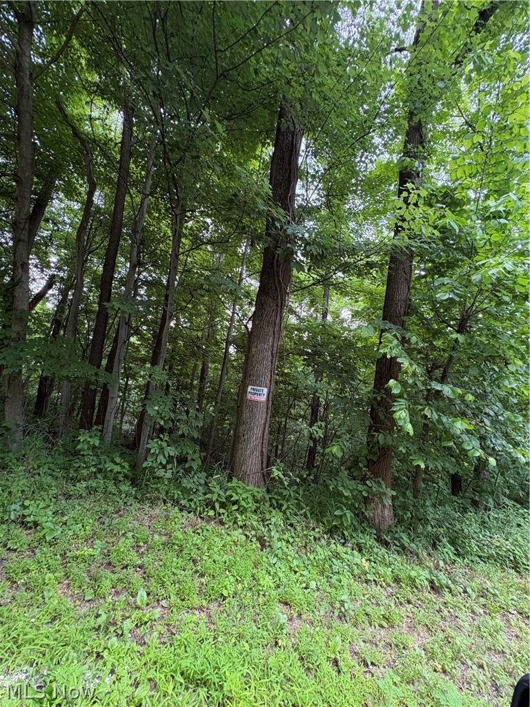 38532 Township Road Sardis, OH 43946 - Photo 15 of 15