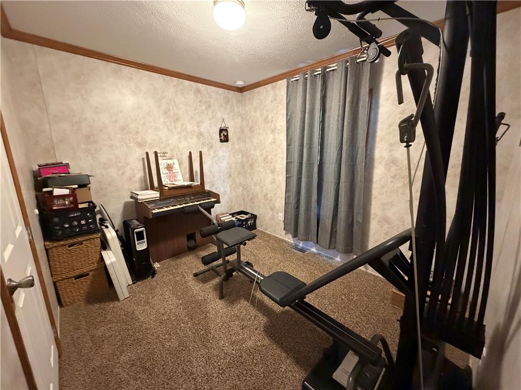 12 Springridge Road Bath, PA 18014 - Photo 55 of 61 A versatile room offering space for both exercise and musical pursuits, featuring textured walls and soft carpeting.