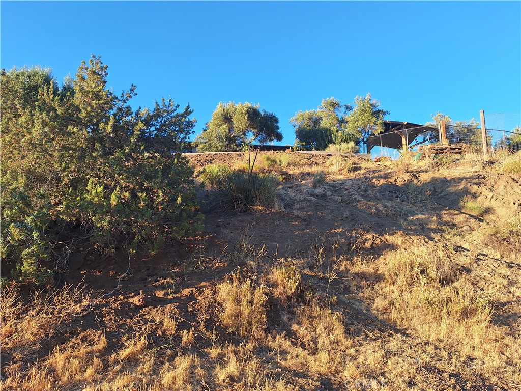31312 Indian Oak Road Acton, CA 93510 - Photo 32 of 48 Upslope to house
